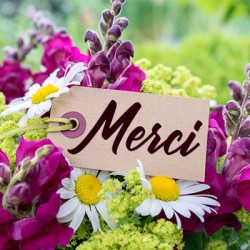 Carte Merci